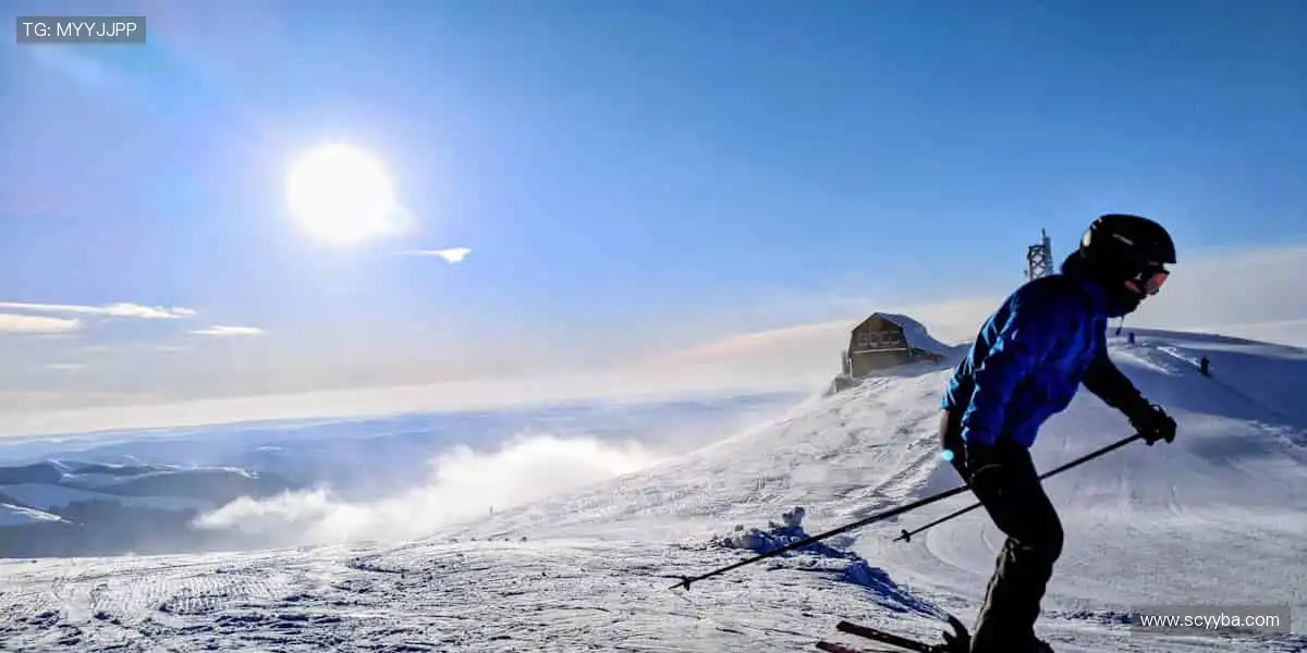 🎮球星同款，解锁你的冠军装备！⚽